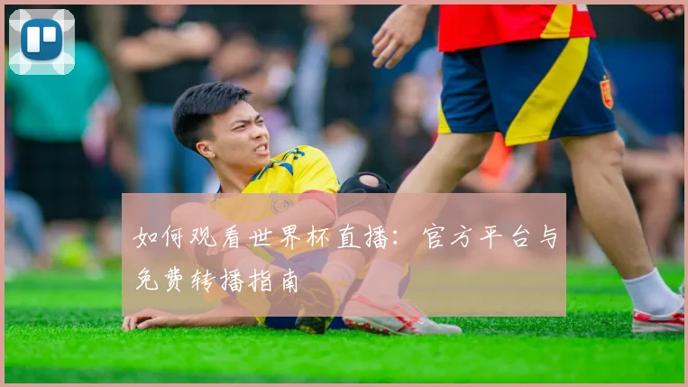 如何观看世界杯直播：官方平台与免费转播指南