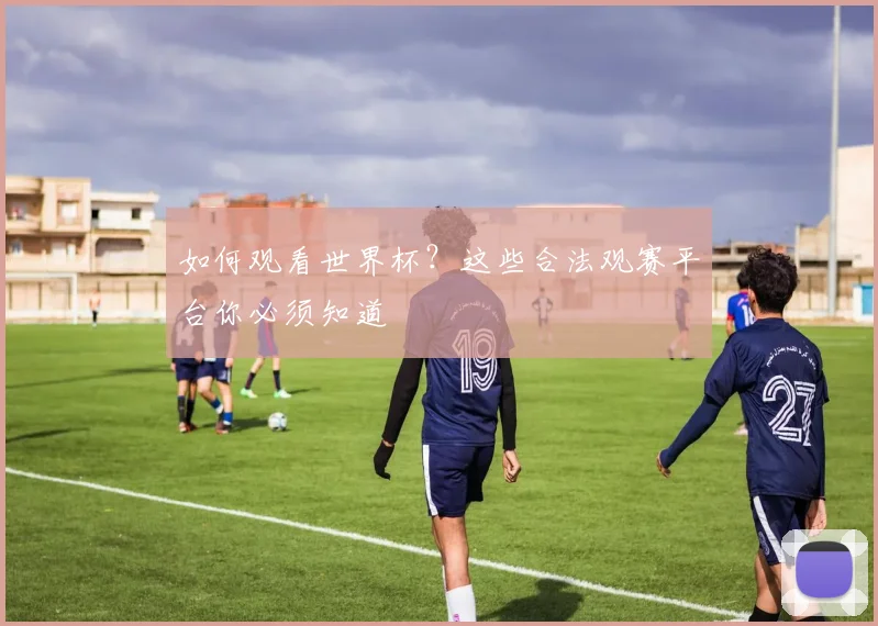 如何观看世界杯？这些合法观赛平台你必须知道