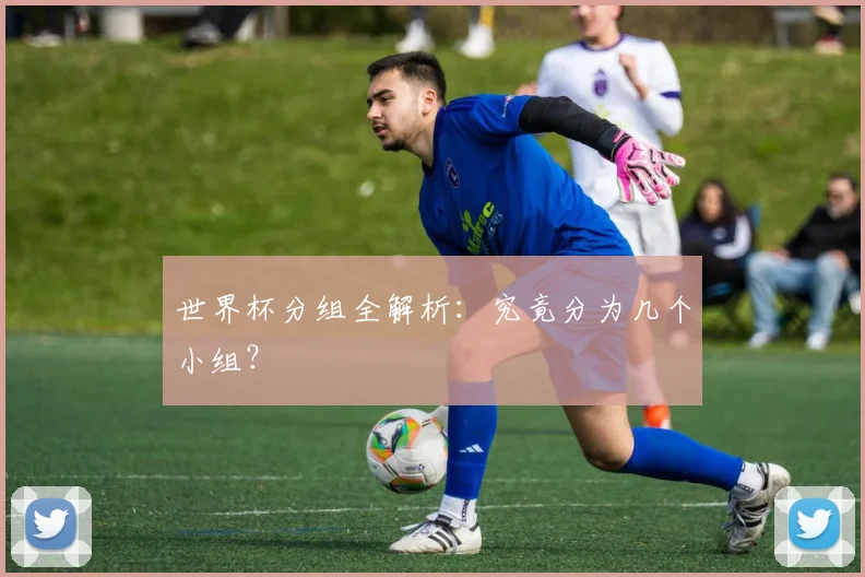 世界杯分组全解析:究竟分为几个小组?