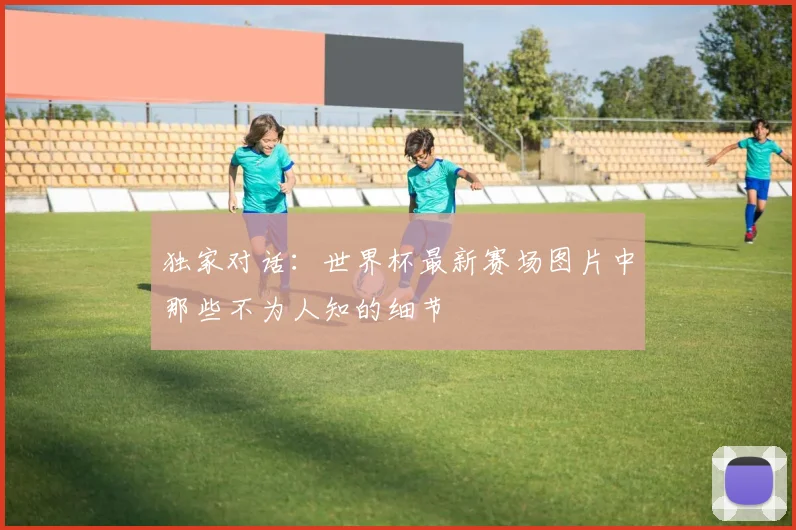 独家对话：世界杯最新赛场图片中那些不为人知的细节