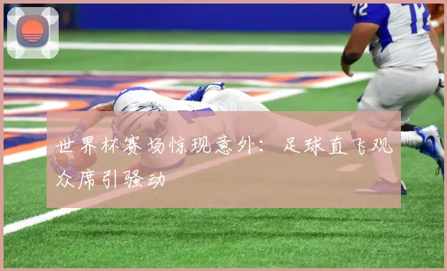 世界杯赛场惊现意外:足球直飞观众席引骚动