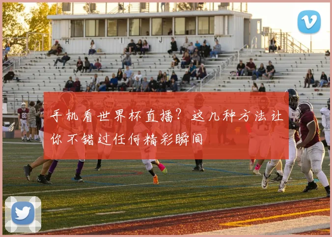 手机看世界杯直播?这几种方法让你不错过任何精彩瞬间
