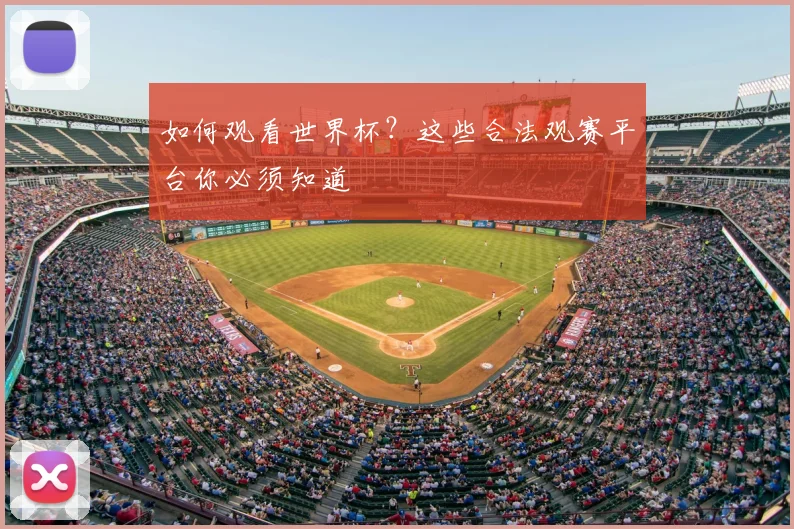 如何观看世界杯？这些合法观赛平台你必须知道