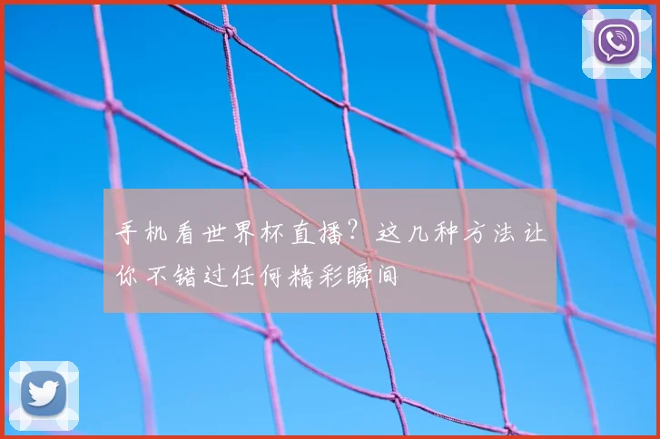 手机看世界杯直播?这几种方法让你不错过任何精彩瞬间