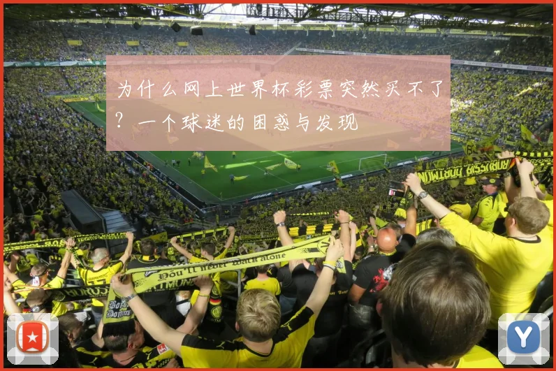 为什么网上世界杯彩票突然买不了?一个球迷的困惑与发现