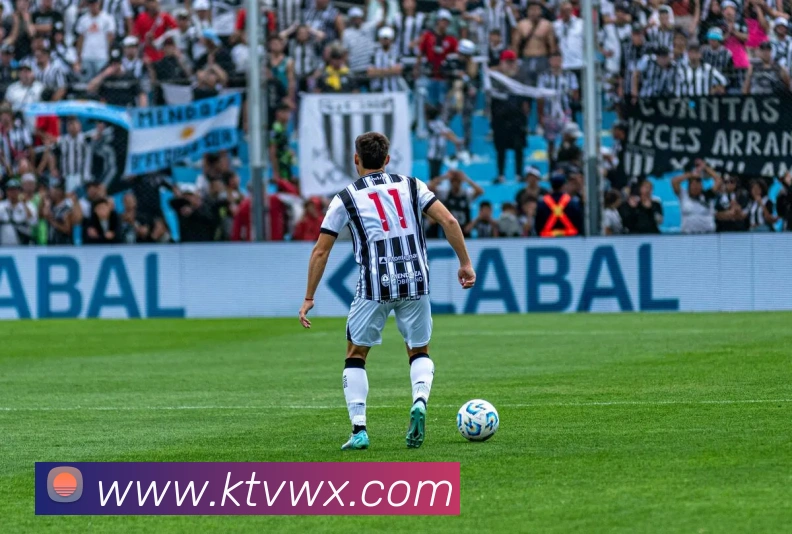 开云手机官方登录品牌故事