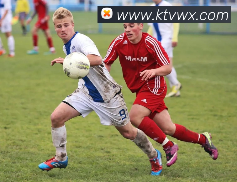 开云手机官方登录服务体系